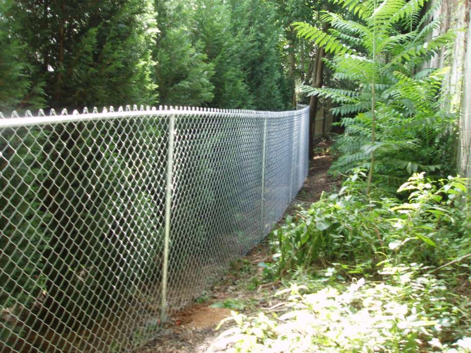 chain link fence