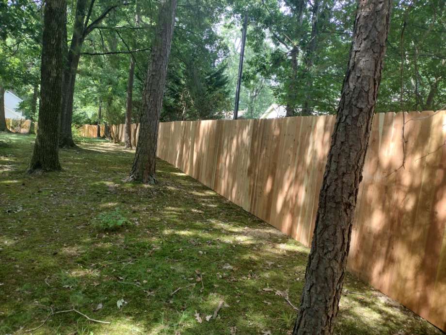 wooden fence with trees
