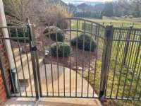 Fencing For Large Dogs