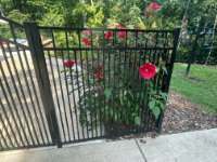 Weathering the Storm: How Different Types of Fences Stand Up to Climate Changes