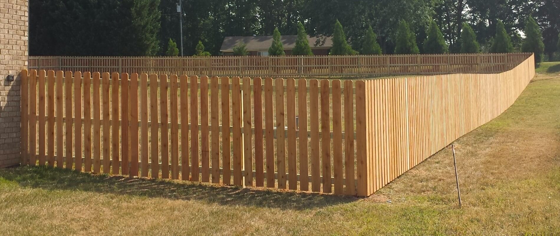 cedar fence